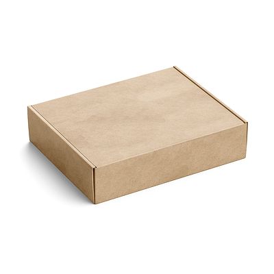 Kraft mailer box with printing on lid